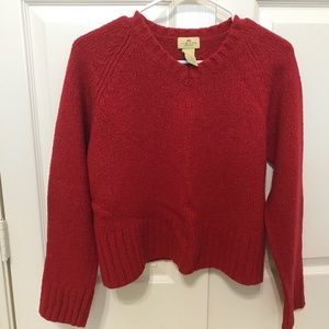 A lady’s sweater size S from the Limited America